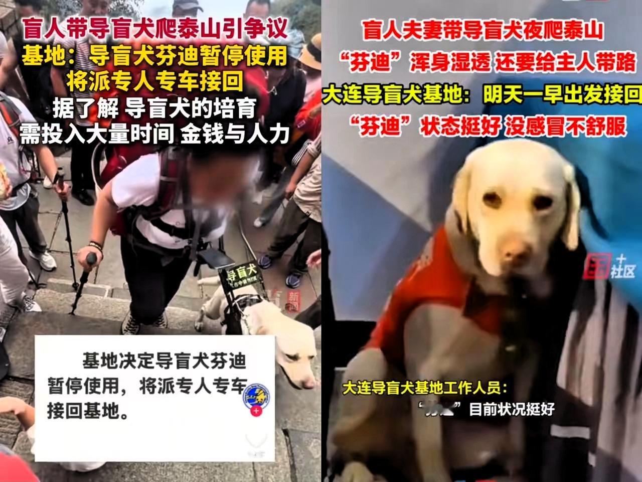 还记得那对在泰山“折腾”导盲犬的北京盲人夫妻吗？最新消息炸锅了——这俩做了8