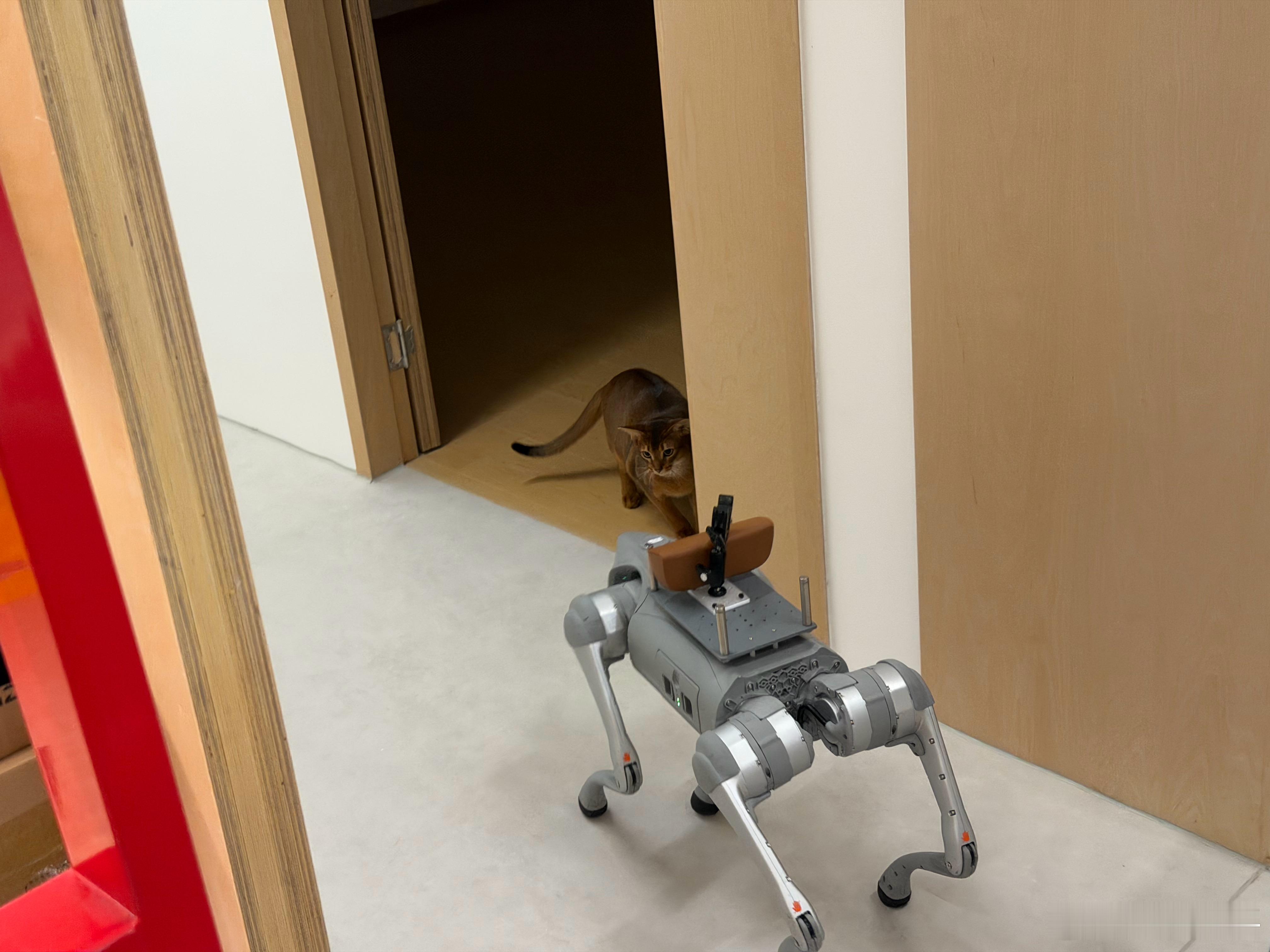 智械危机了人工智能