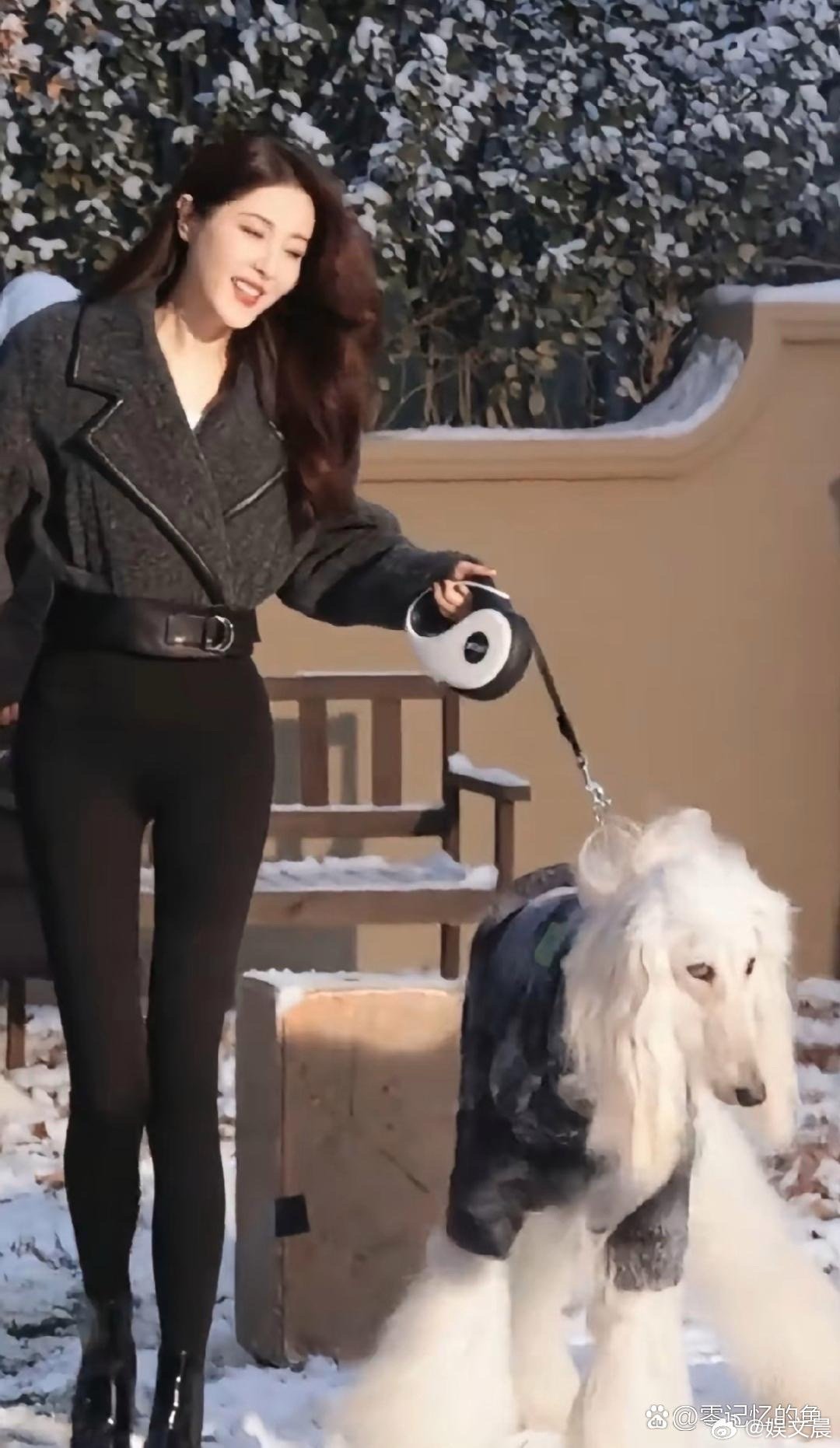 曾黎这腿也太绝了吧！又直又长，比例真的好优越，气场直接拉满～