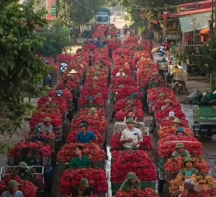 都要烂大街了，为什么也不降价？