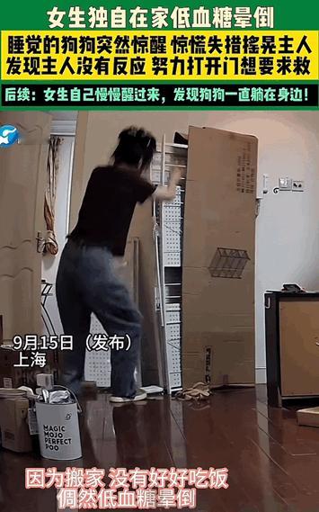 万物皆有灵性！上海，女子独自在家突然低血糖犯了直接晕倒在地，在一旁睡觉的狗狗听到