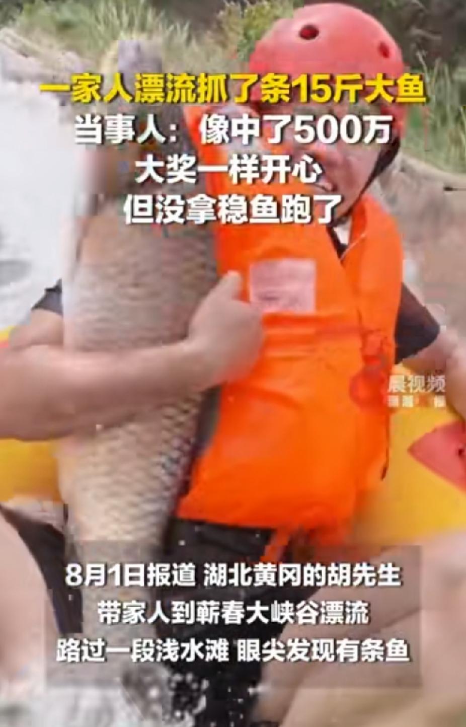 湖北黄冈，男子一家人去峡谷漂流消暑时，意外在浅滩生上发现了一条15斤重的野生大鱼