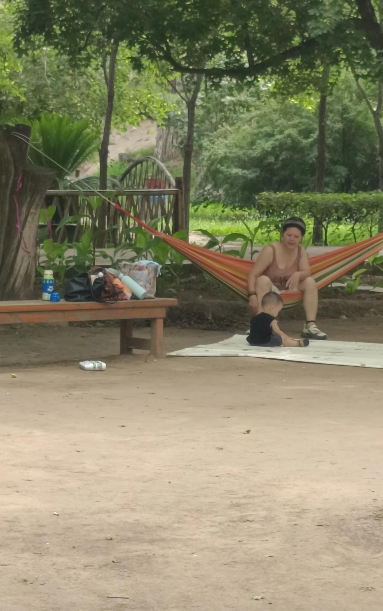 一个老头在公园睡吊床，翻在地上，把脸炝了。老头把公园告了，说树是公园的树，公园得