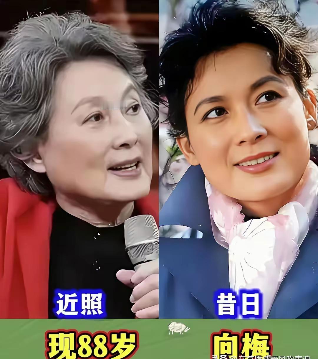 红颜薄命是个伪命题。秦怡用一百年，亲手砸碎了它。你翻到的那些老照片，剑眉星目