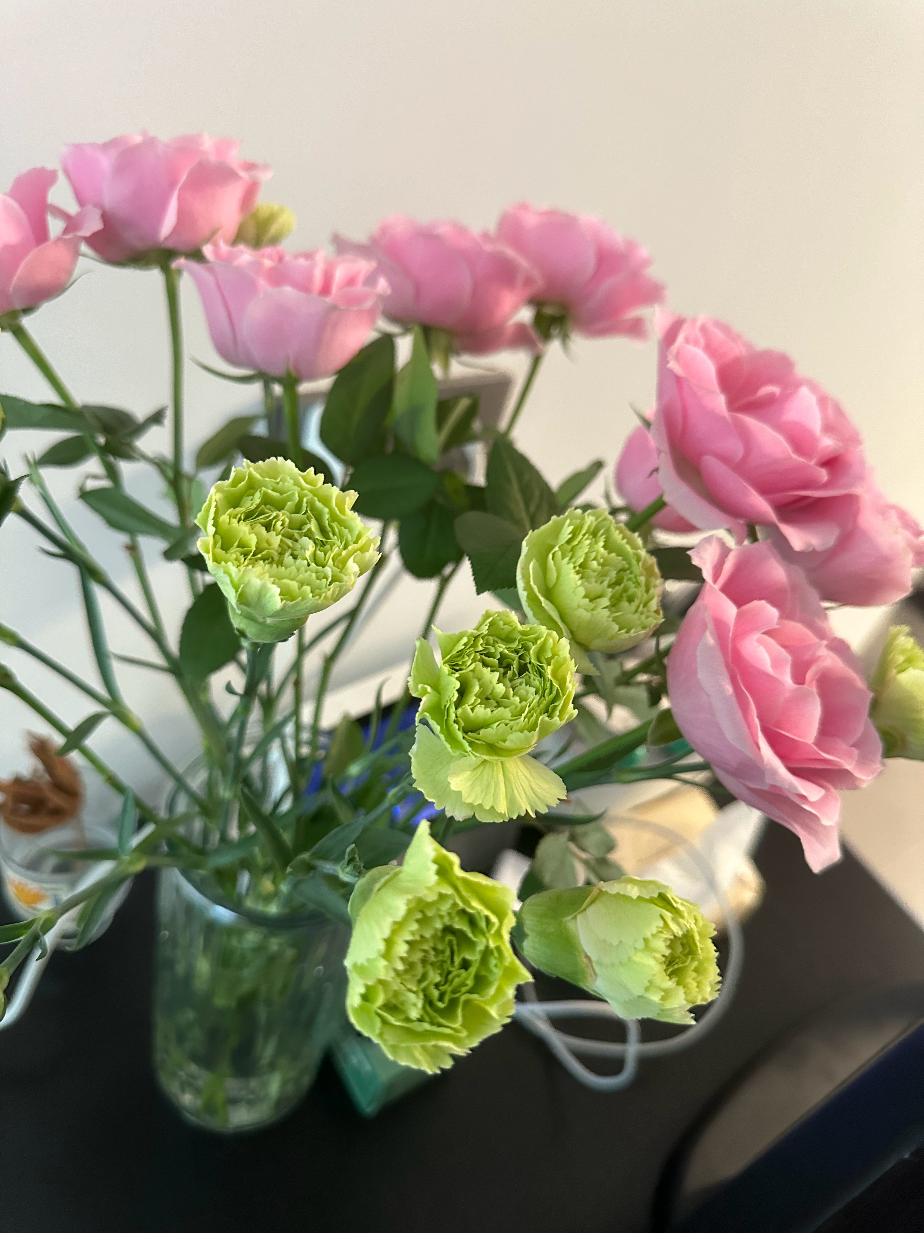 昨天买的花🌹开了神奇的生命