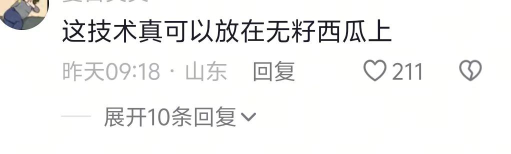 无籽玉米快培育成功了，解决了大家饭吃得太饱的问题哈哈哈哈哈