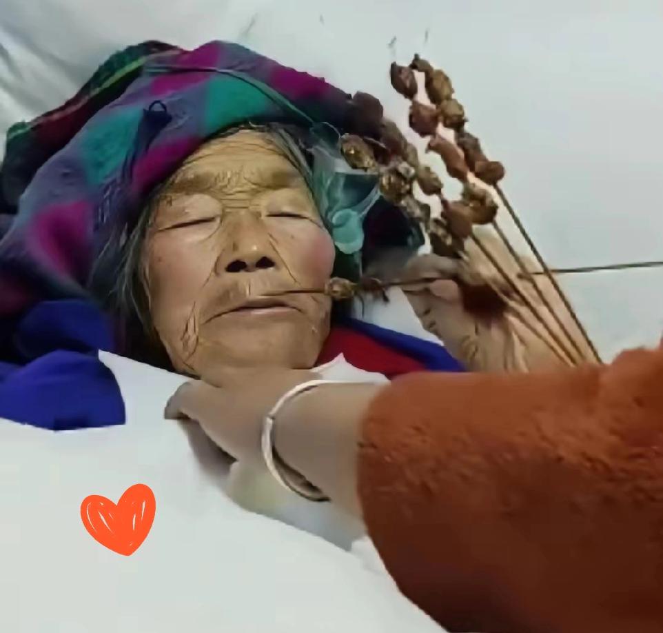 88岁奶奶三天滴水不进，忽然开口：“我想吃烤羊肉串。”儿子跑遍全城，十分钟后把串