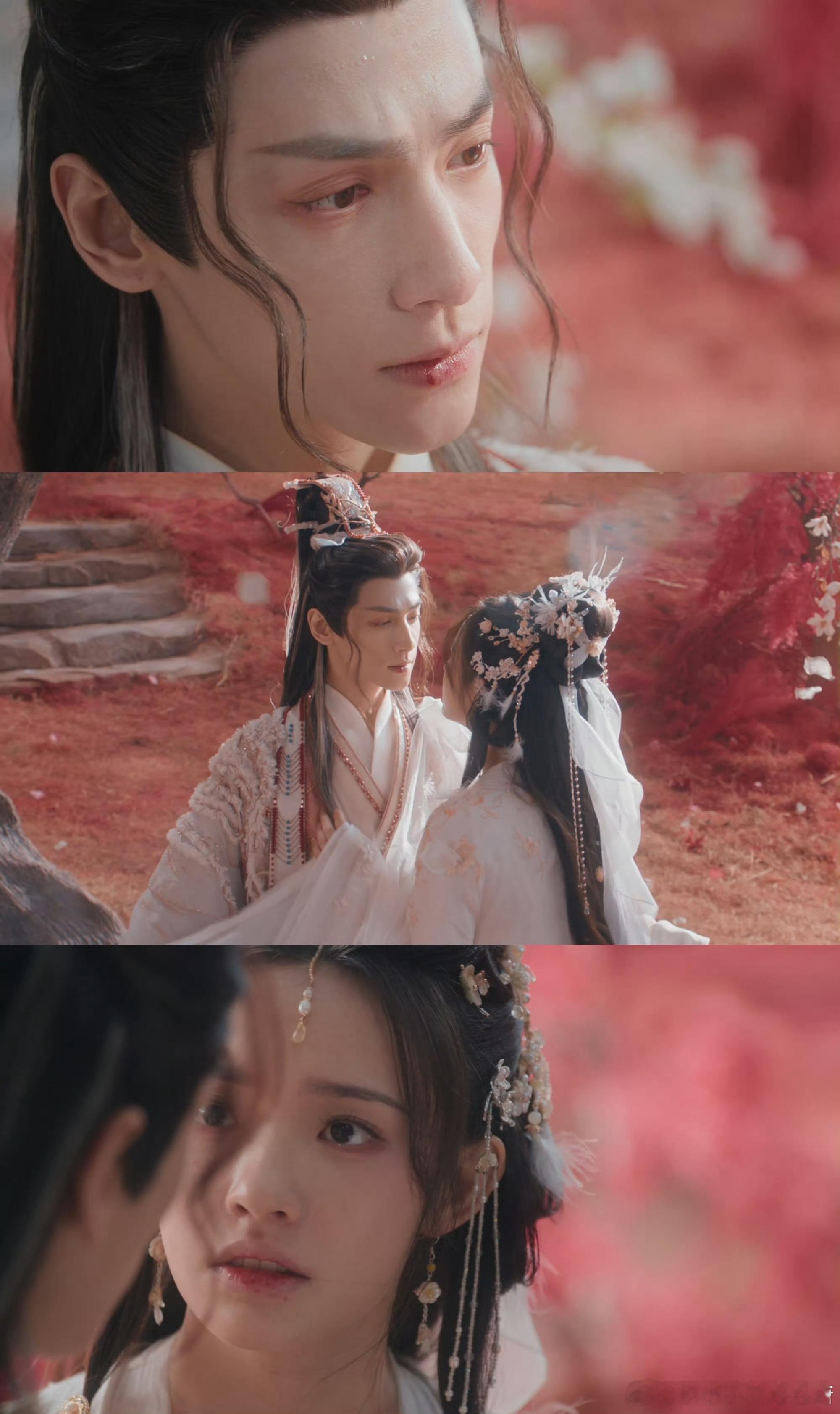 水龙吟花海吻是以血献祭血吻落花海，林允救赎式献祭，罗云熙心魔挣扎难掩，古风虐恋