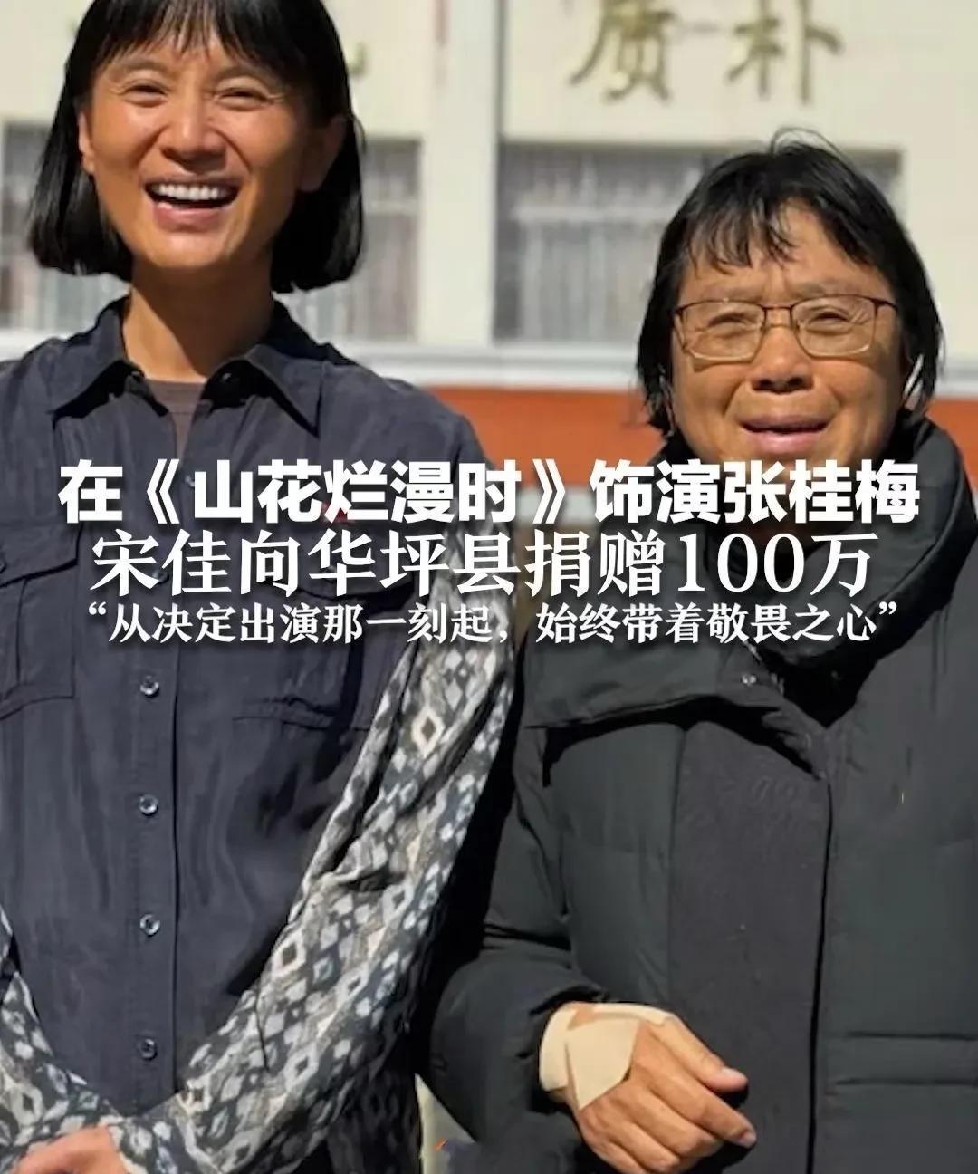 谁为张桂梅捐款最多？目前公开信息中，为张桂梅捐款较多的有《山花烂漫时》剧组和宋