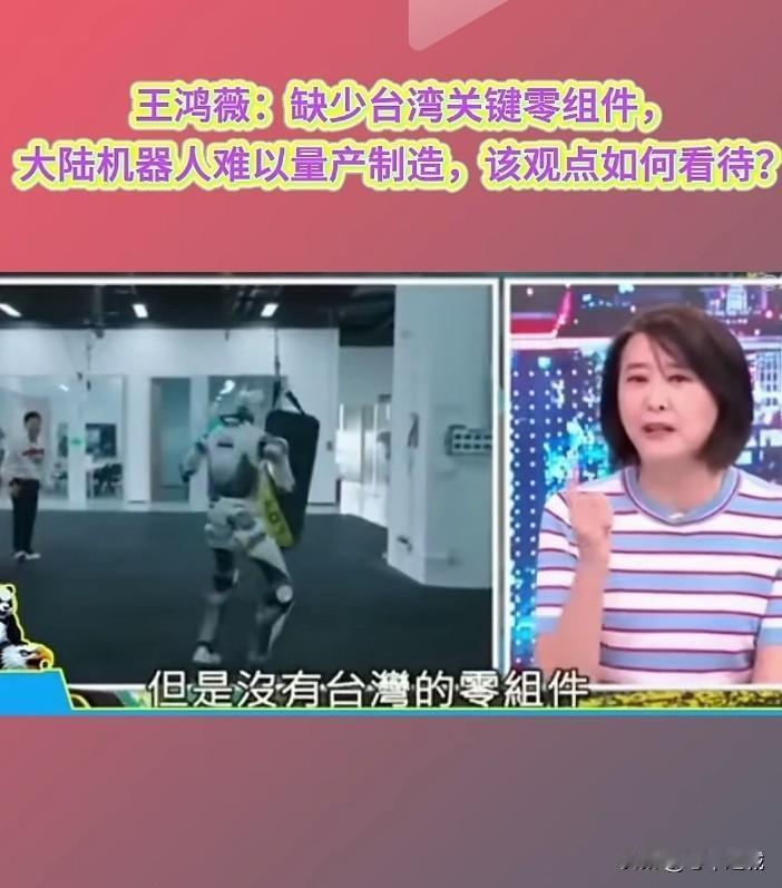 王鸿薇这个女人，自4做了台湾省民代后，就开始胡说八道了。经常上黎少康的节目，还一