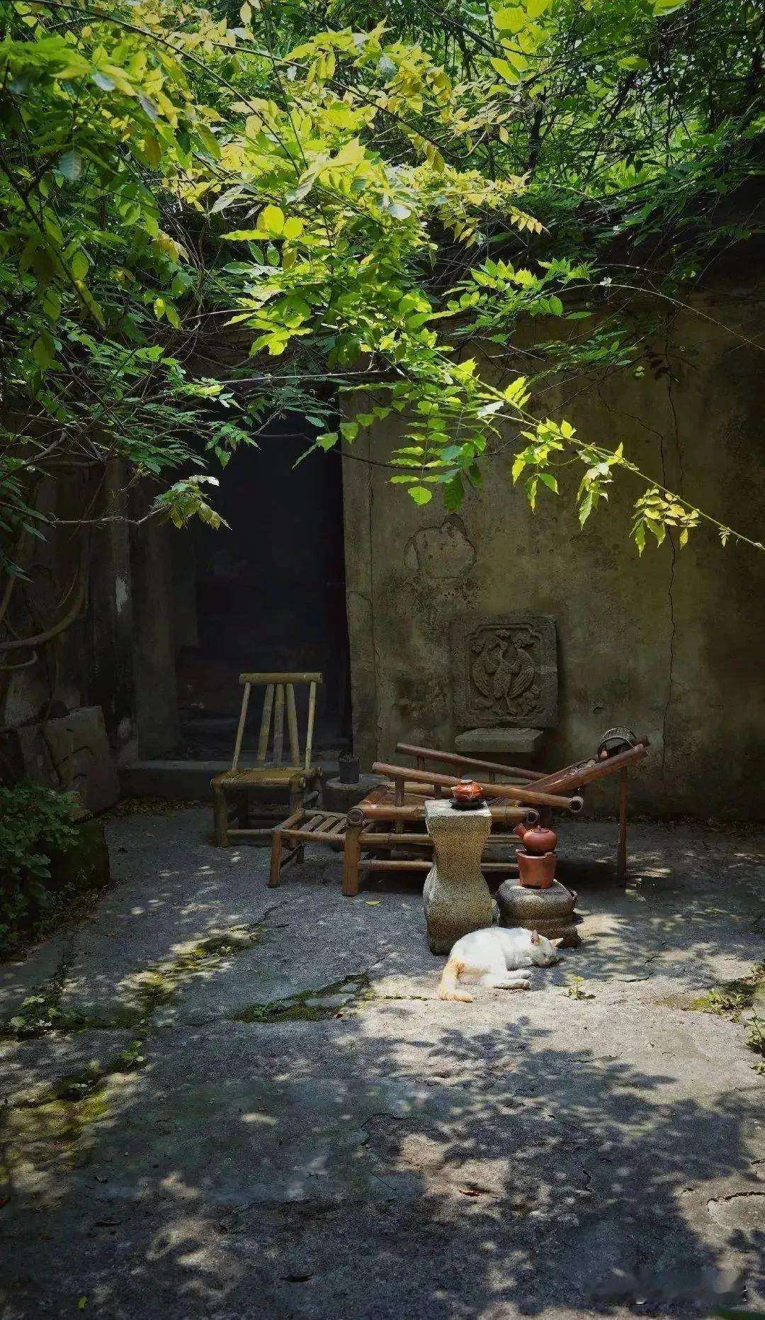 一段通透的话："最好的关系，不是天天腻在一起，而是彼此惦记，互不捆绑。有
