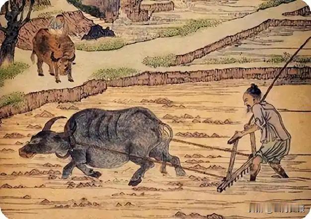 “我国古代没有牛，牛是建国后从美国引进的，它的原型是美国野牛”，这个说法一出，立