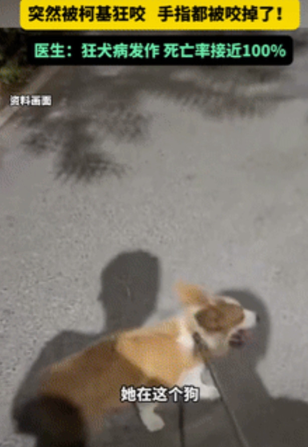 “这是真吓人！”河南郑州，一22岁女子在宠物店给柯基洗澡时，柯基突然朝女子发起攻