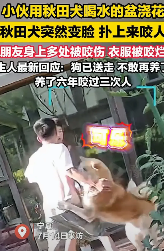 不尊重狗狗，后果可能很严重，一男子用狗喝水的盆浇花，被狗狗疯狂撕咬，全身多处咬伤