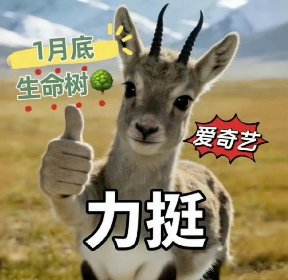 杨紫第一次换角色头像杨紫换头像了，抽象杨紫来了：姐的冷酷零下80度°