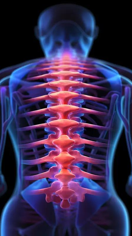 有腰椎和颈椎不舒服的朋友吗?大家来交流一下。忙碌了几十年，一直身体还好，去年突然