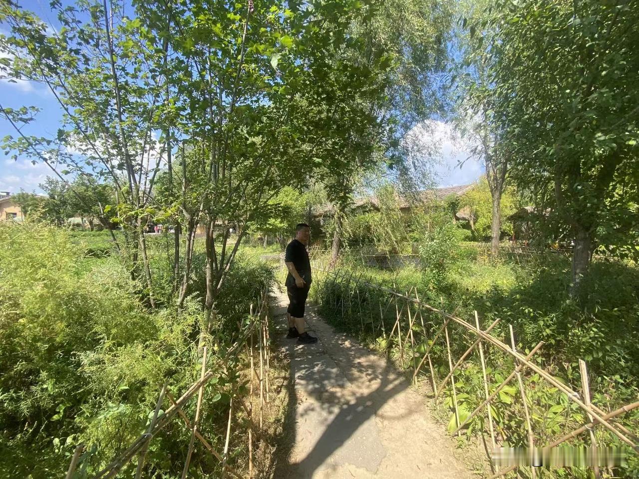 昨天晚上十二点多，我正在睡梦中。要知道我的睡眠质量很差，晚上很难入睡。好不容易睡