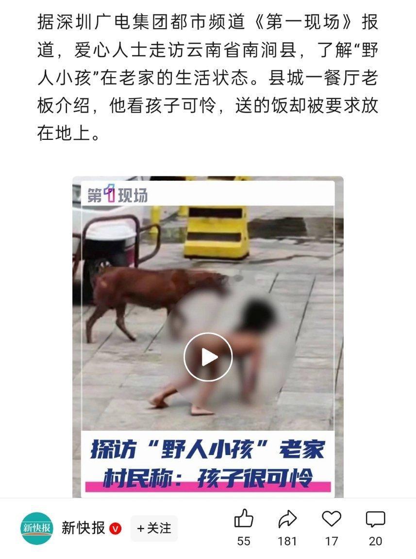 事情开始变得诡异起来了。县城一餐厅老板看野人孩子可怜，送的饭却被要求放在地上。难