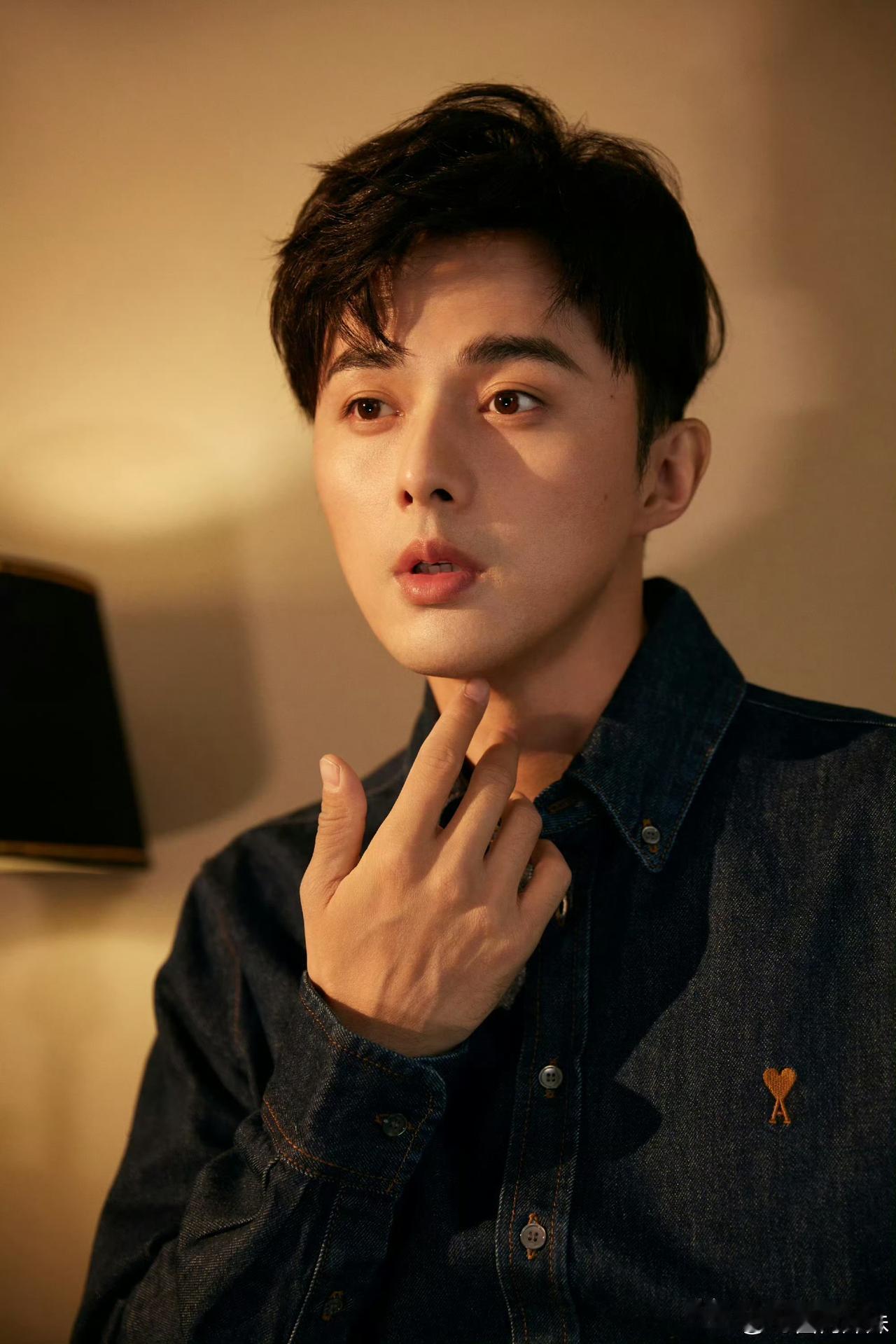 明眼人都看得出来叶祖新这么多年没有红演技没问题，人品没问题，主要是他这个人就