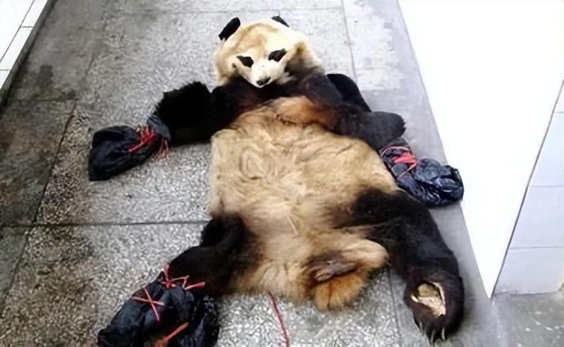 2014年，云南昭通，村民李符清吃完晚饭后，去村里小卖店买烟。结账时无意听到，店