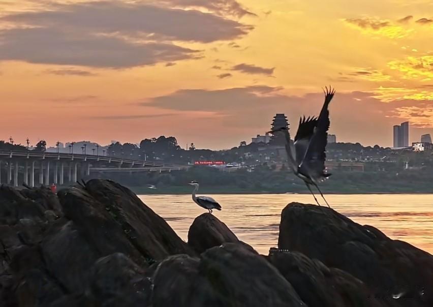 继走出浙江、辐射多省市后，被誉为“中国版加州理工学院”的西湖大学，2026年正式