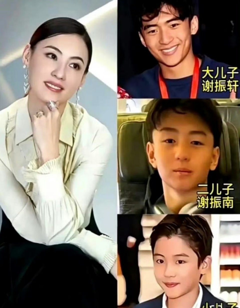 张柏芝的三儿子张礼承今年7岁了，谢振轩和谢振南这两个哥哥都很宠爱弟弟，三个儿子都很乖巧懂事。张柏芝很