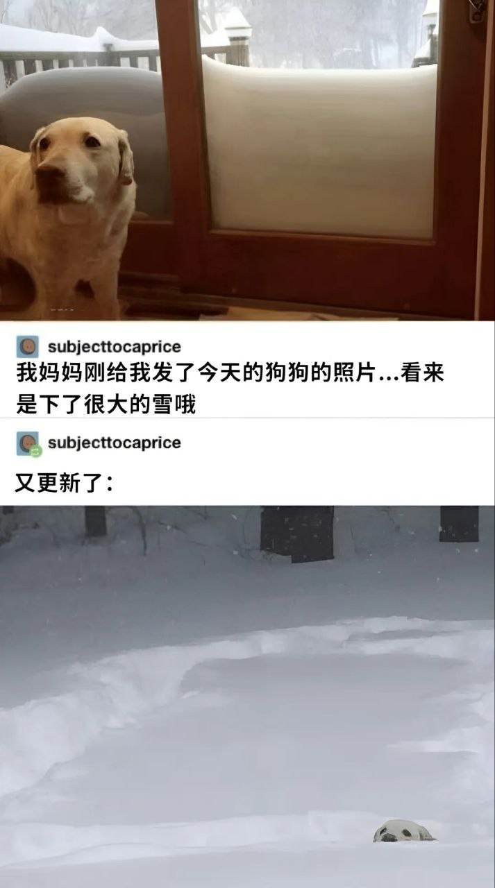 好大的雪​​​