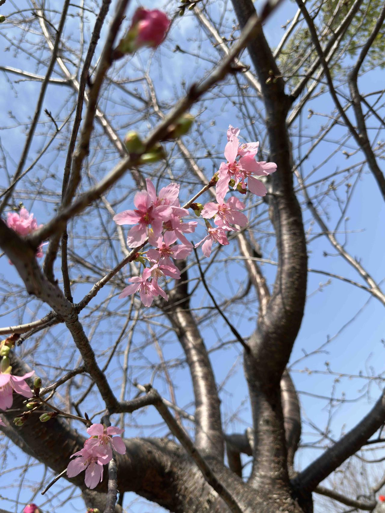 今天带母亲从医院回家，打车打到的一个滴滴司机师傅应该是比较独特吧？这单等了好