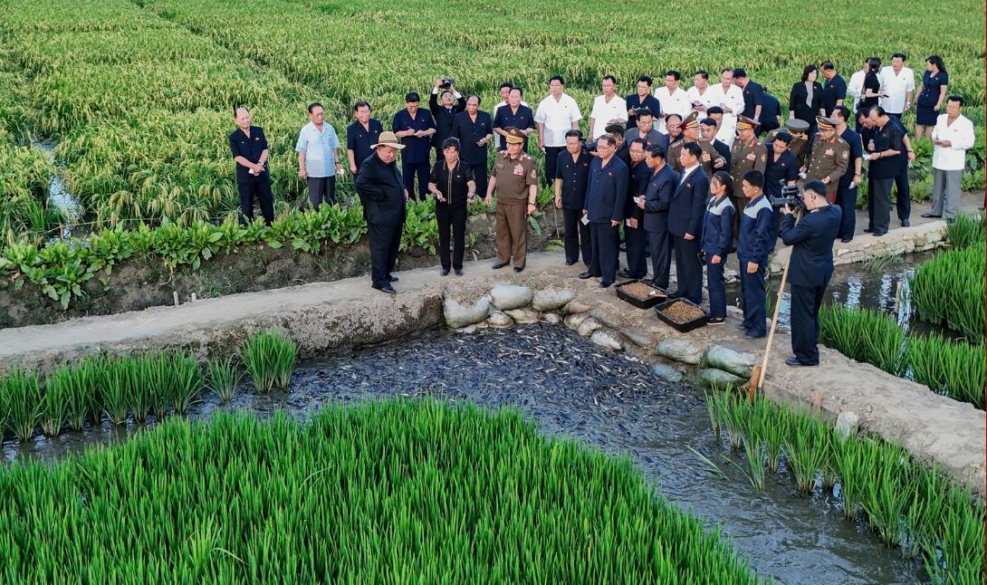 金正恩元帅视察人民军后方基地，了解稻田种植和鲶鱼养殖情况。时间是7月24日。