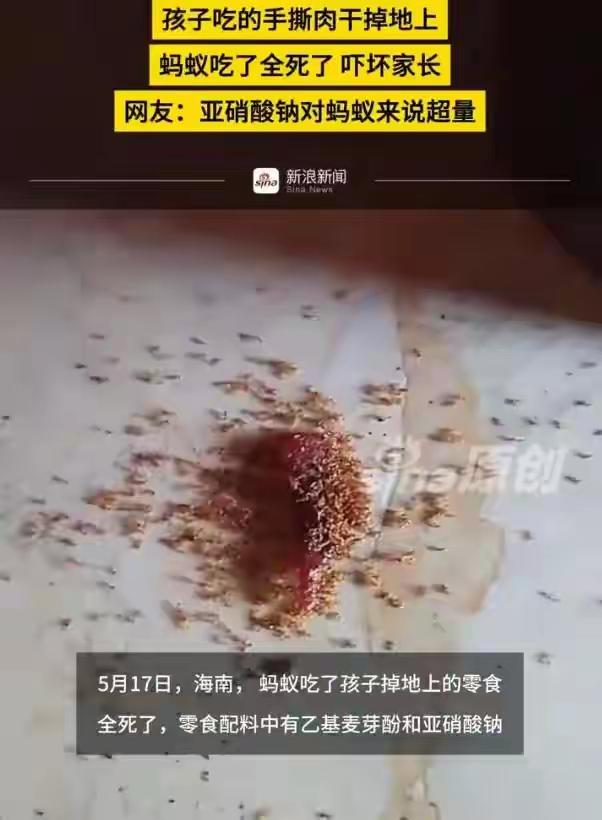 蚂蚁吃完全死！海南宝妈拍下惊悚一幕，撕开儿童零食最扎心真相5月17日海南，