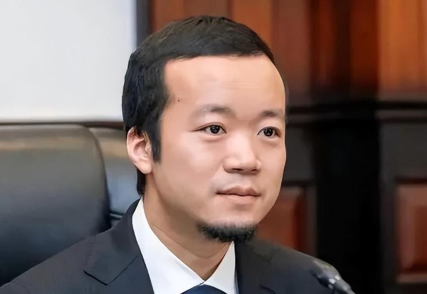 陈志栽了！陈志的案子，把跨境电诈的底细掀开了。表面上是光鲜的集