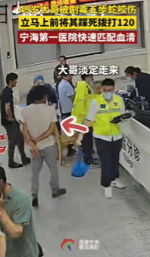 是个狠人！浙江宁海，一49岁男子被五步蛇咬伤后，立马上前一脚将其踩死，拎着蛇拨打