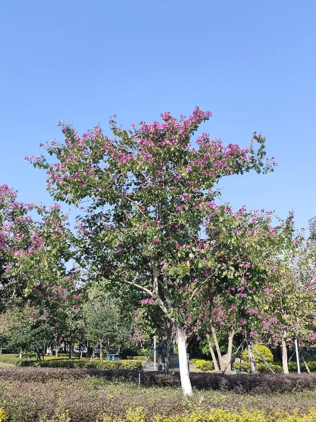 严嵩是不是被曲解过份了1.私德方面，贵为首辅，严嵩一辈子没纳妾，和发妻白头到老