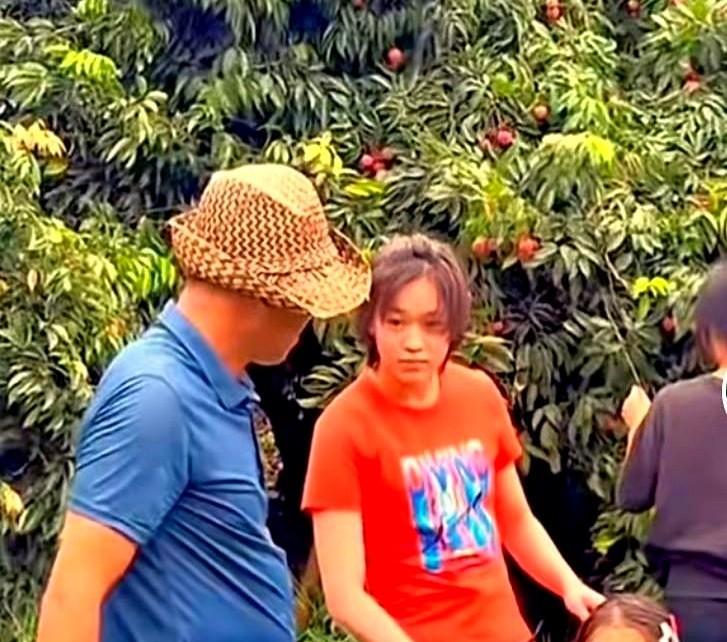 全红婵回到家和家人一起团聚了，她家的果园荔枝大丰收，全宝帮忙摘果，还一直带着小妹