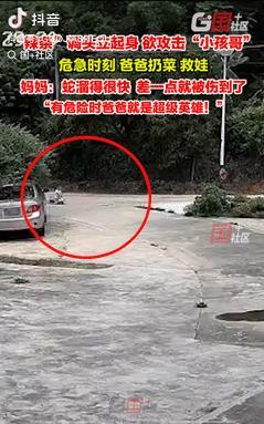 “不幸中的万幸！”广东惠州，一小孩在街上玩溜溜车时，突然看到有条蛇朝他袭来，小孩