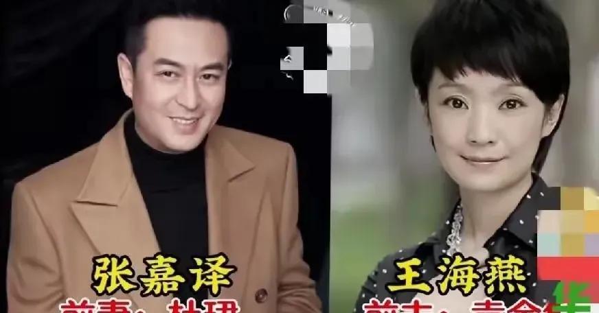 张嘉译王海燕再婚十年，恩爱如初。别急着羡慕，也别急着否定。民政部数据摆在那，