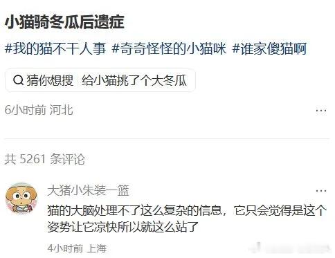 抱完冬瓜回不去了