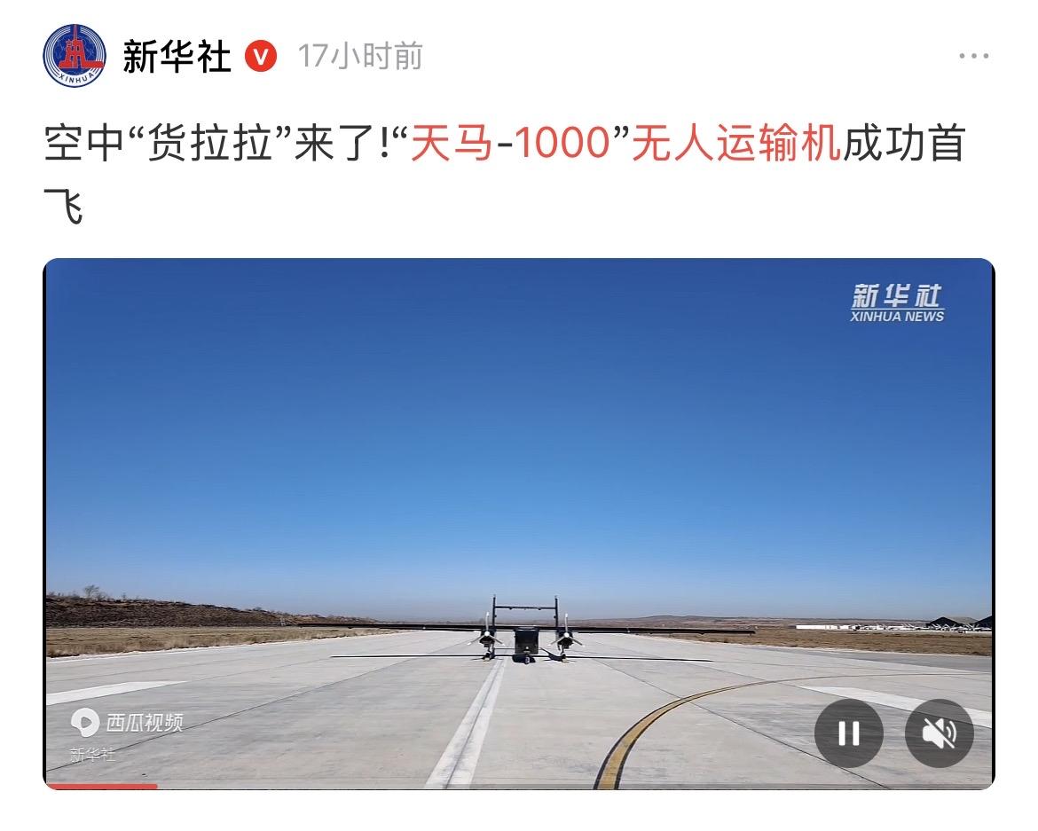 1月12日，新华社报道，中国新型无人机“天马-1000”成功首飞。“天马-1