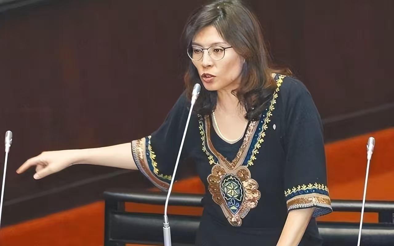关于郑丽文的结局，我发现一个耐人寻味的地方！她早年在民进党当“国大代表”