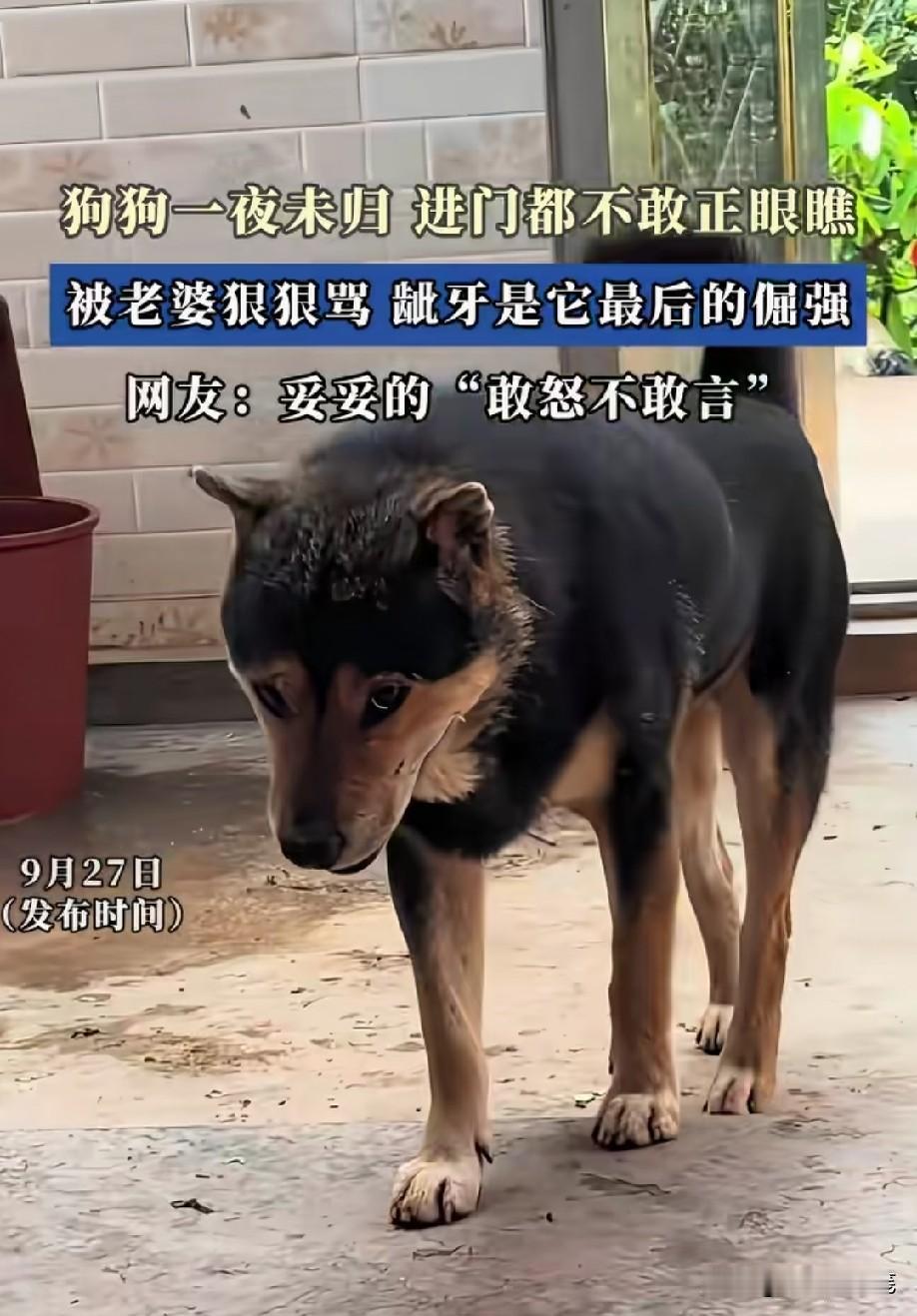 还别说，确实有那味儿[捂脸哭]