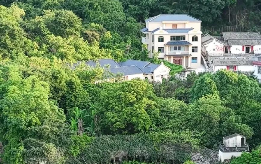 2025年7月18日，是我正式退休的日子，工作了37年，终于退下来了，这段时间，