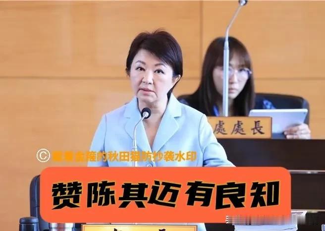 卢秀燕放出大招！妈妈市长狂赞陈其迈有良知，却怒轰民进党当局、绿营民代昧着良心不