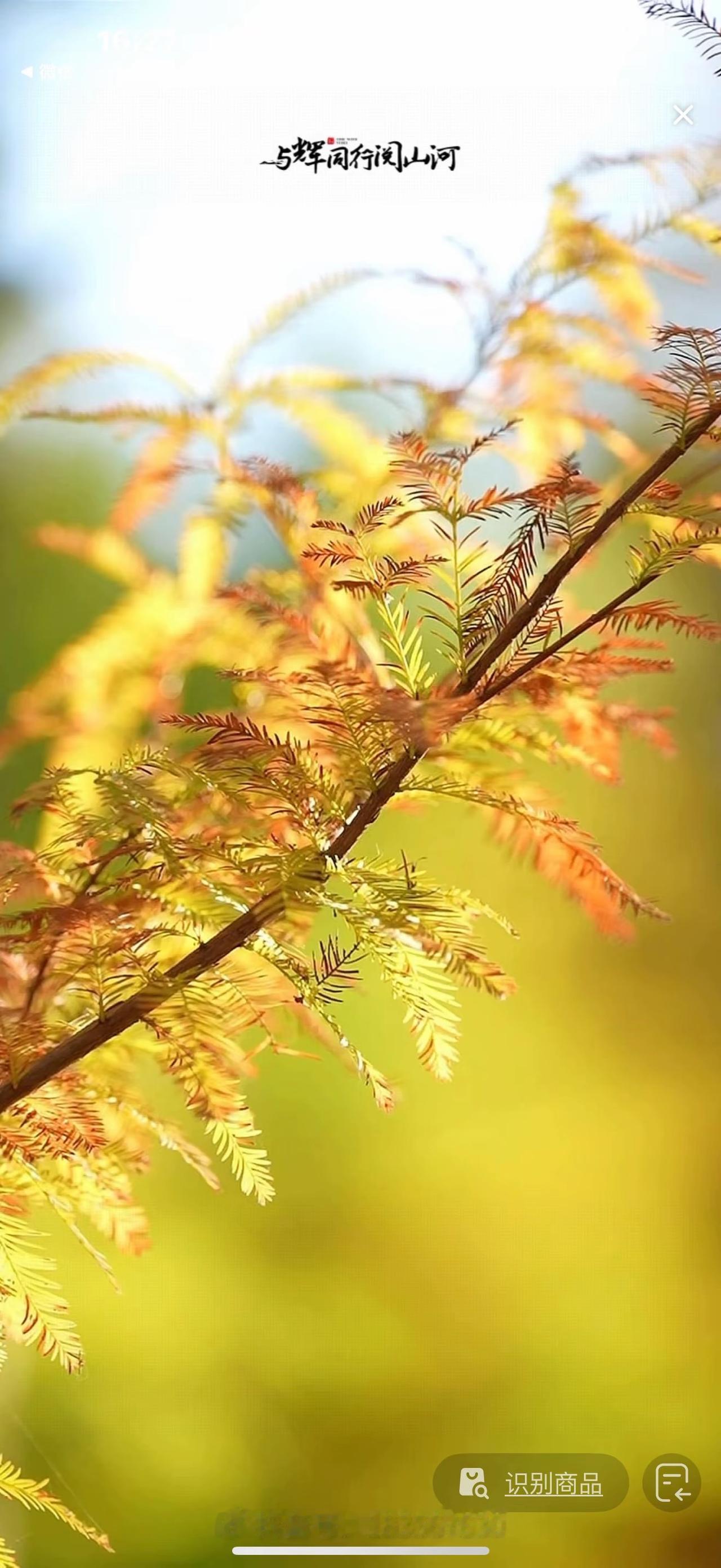 为期三天的安徽外场在宇辉精彩的总结声中完美的画上了句号。这次的安徽之行，无疑