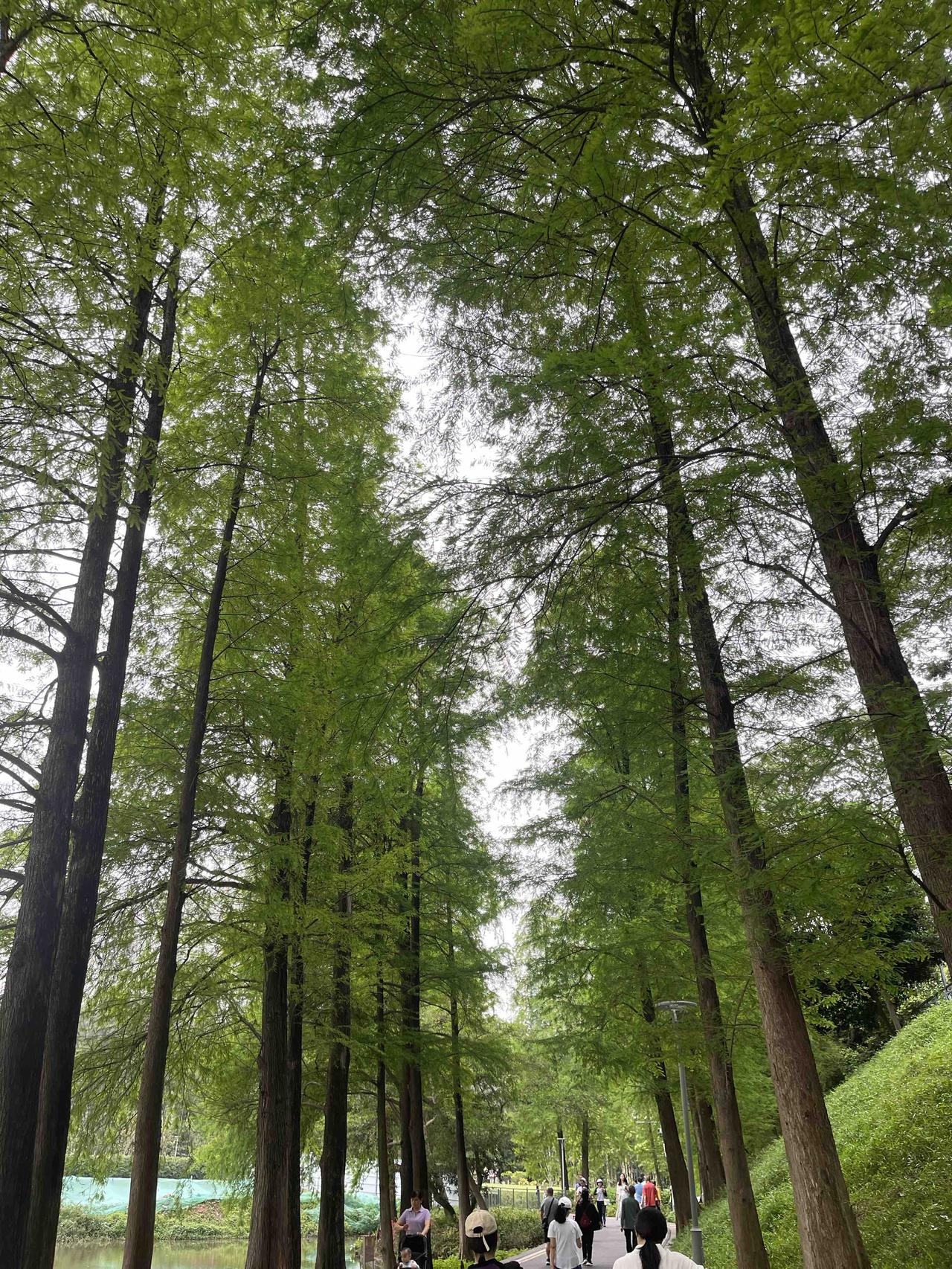 命里带财的人，身上都有这3个特征，哪怕现在没钱，早晚必富朋友，是不是有时候特