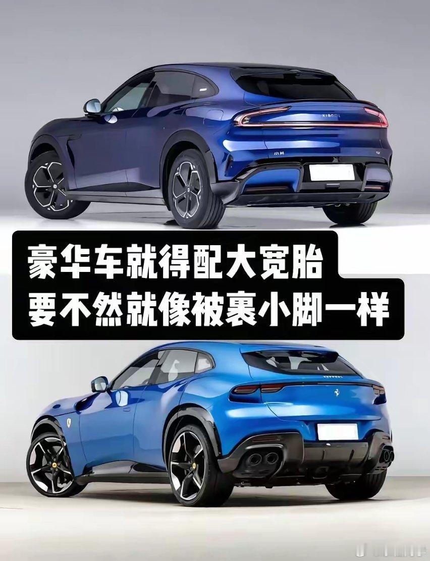 豪华车就得配大宽胎。提速快、吨位重的车再配上单车胎既不美观，又影响驾驶安全dou