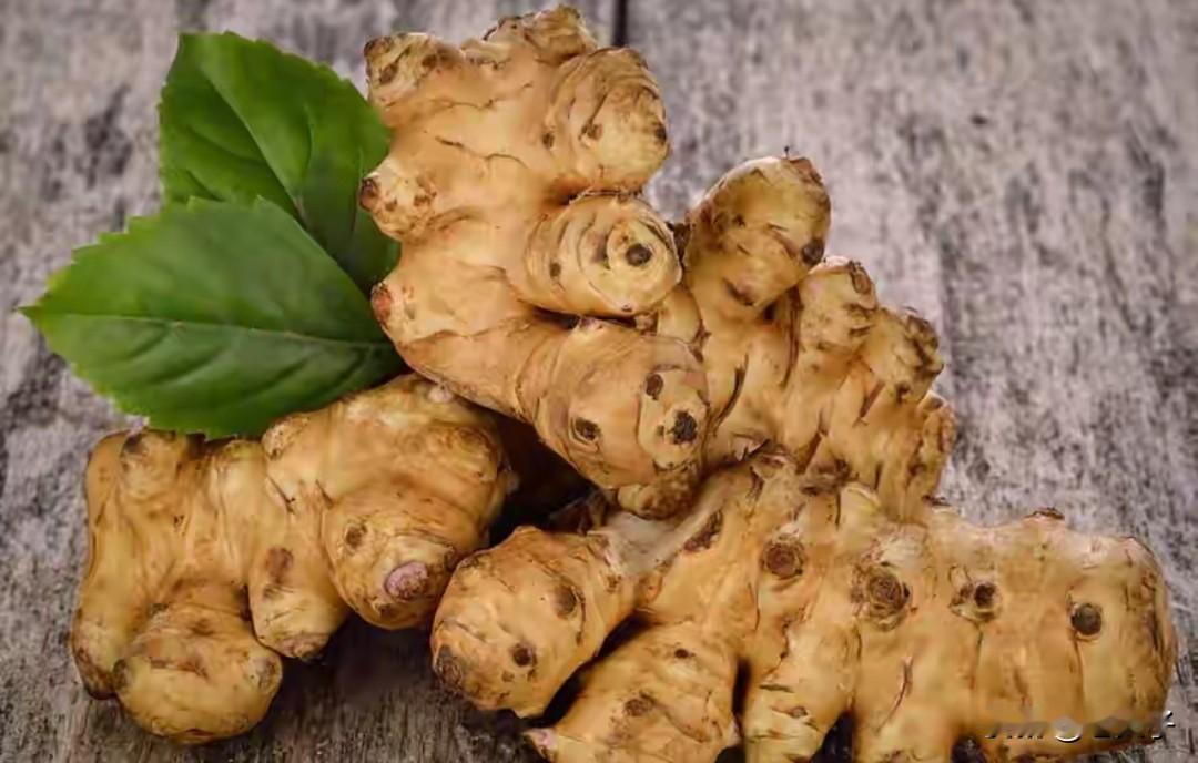 东北方言之（674），鬼子姜：是一种植物，块茎长得有点像生姜，但是不辣，植物的