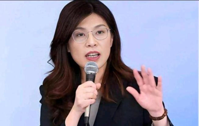 郑丽文又开始大嘴巴了！6月18日，郑丽文表示，两岸问题的解决可以参照“欧盟模式”