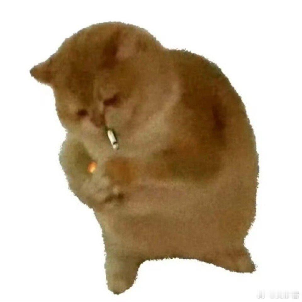 怎么突然开始健身了是在偷偷备孕是嘛​​​