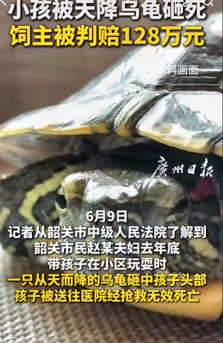 一觉睡醒，破防了！万万没想到广东一个小孩在小区玩耍时，被一只从天而降的乌