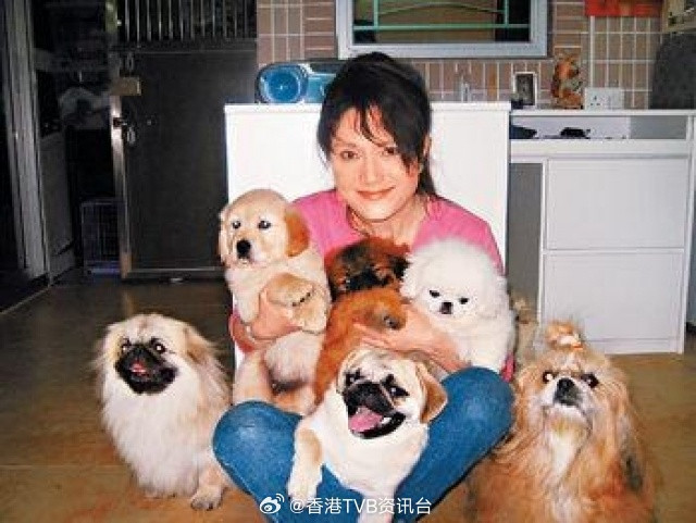 星岛：施明与李家鼎离婚后是“亲人”施明和“鼎爷”李家鼎在1977年结婚，并育有一